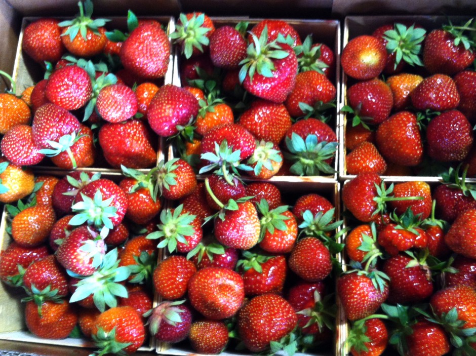 Strawberries from Lorence's Berry Farm